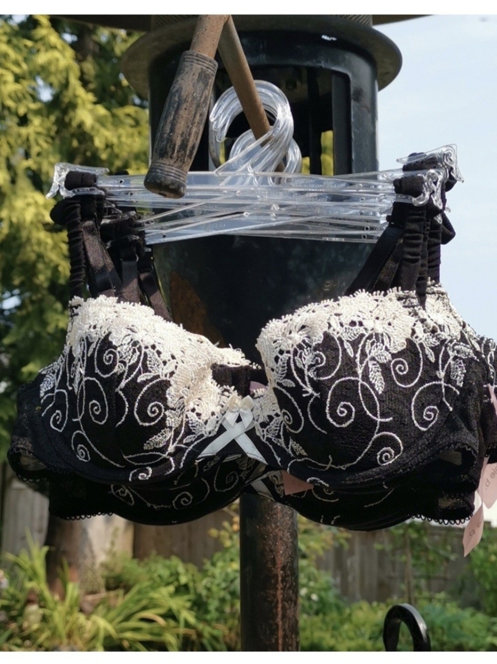 sophie b. Black and Ivory Lace Underwire Bra